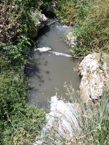 Despues Vertido EDAR Pruna (30/06/07)