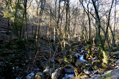 RÃo Barbantiño VII