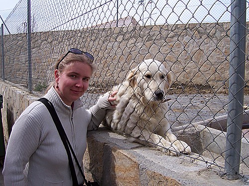 Yo Con El Perro Guardian Más Cariñoso Que Existe