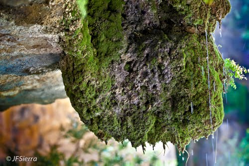 Ayuntamiento de Quesa imagen de fachada