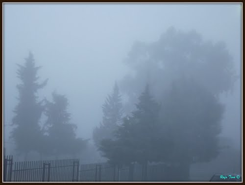 Niebla Al Amanecer En Quintana De La Serena.