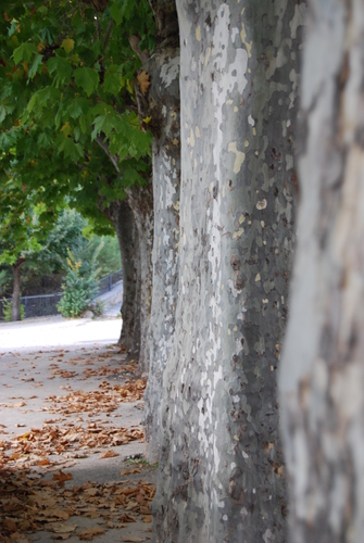 Ayuntamiento de Riopar imagen de fachada