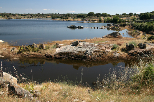 Salce - Embalse De Almendra