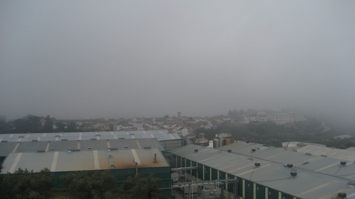 Niebla En Salem