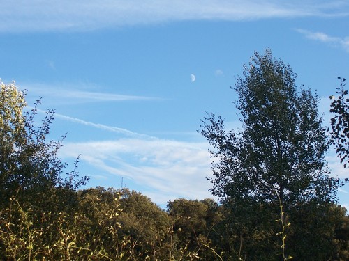 PARAJE (SAN ADRIAN DEL VALLE) LEÓN M.S.L.