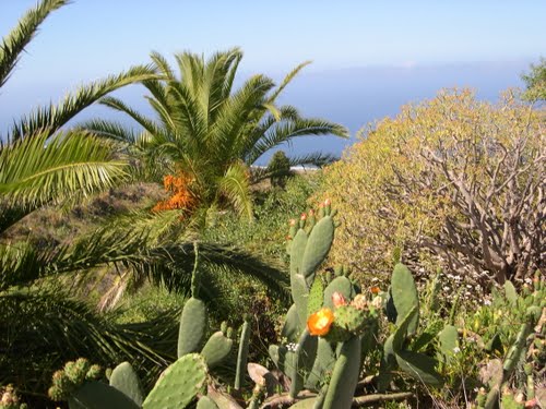 La Palma (Canarische Eilanden)