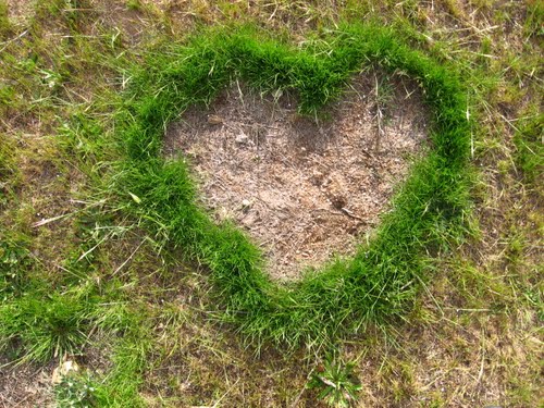 All You Need Is Love