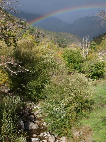 Arroyo Castaño Del Asno