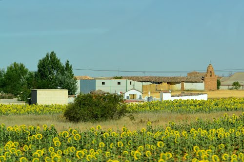 San Mamés De Campos Desde La AutovÃa