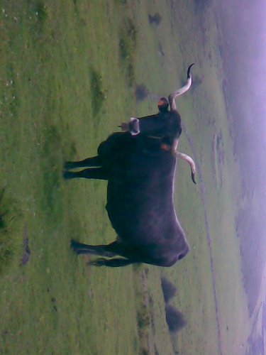 Ayuntamiento de San Miguel De Aguayo imagen de fachada