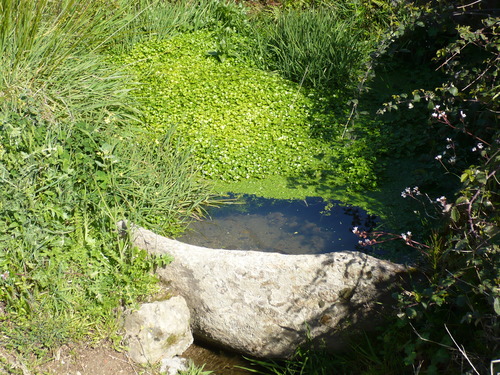 Ayuntamiento de Sanchotello imagen de fachada