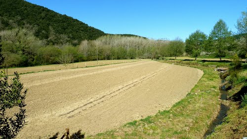 Camp Conreat St. Esteve De Llémena