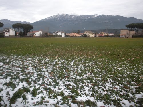 Nevada. La Prova Del Delicte