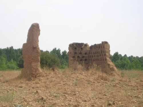 Restos De Casa De Adobe En La Comarca De Tera. Zamora. Julio De 2004