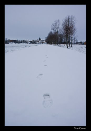 Huellas En La Nieve