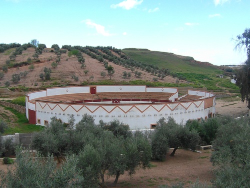 Coso De La Solidaridad