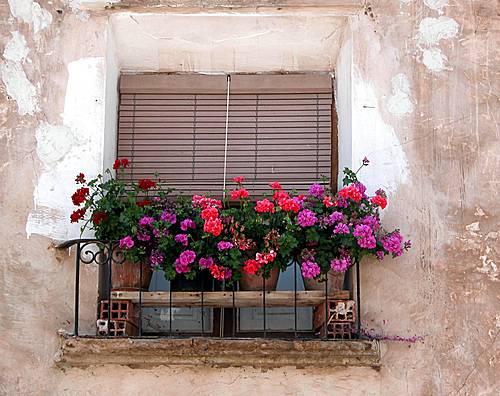 SANTA ENGRACIA DEL JUBERA (Valle Del Jubera)