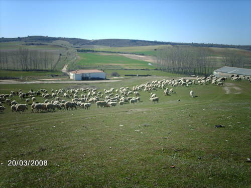 Ayuntamiento de Santa Maria De Las Hoyas imagen de fachada