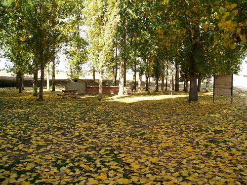 Ayuntamiento de Santo Tome imagen de fachada