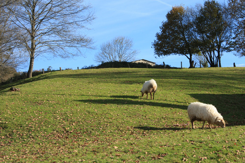 Ayuntamiento de Saro imagen de fachada