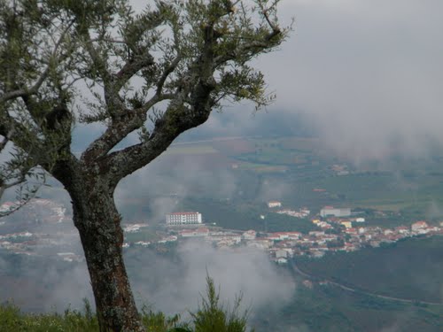 Ayuntamiento de Saucelle imagen de fachada