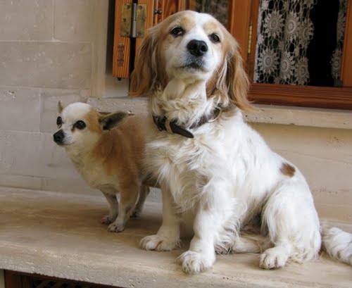 Na Linda Posant I N´Estrella Amagada