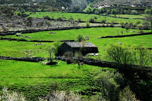 Ayuntamiento de Serranillos imagen de fachada