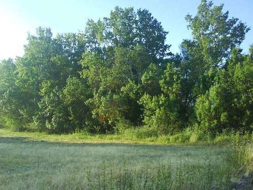 Ayuntamiento de Sienes imagen de fachada