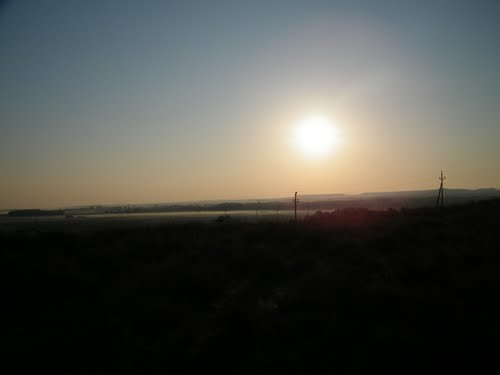 Soses Direcció Torres