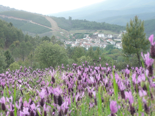 Ayuntamiento de Sotoserrano imagen de fachada