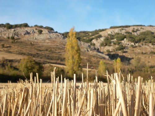 Ayuntamiento de Sotresgudo imagen de fachada