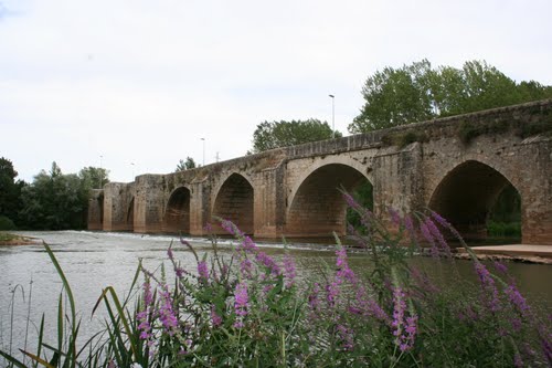 El Pisuerga En Tariego De Cerrato