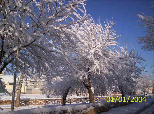 Ayuntamiento de Tebar imagen de fachada