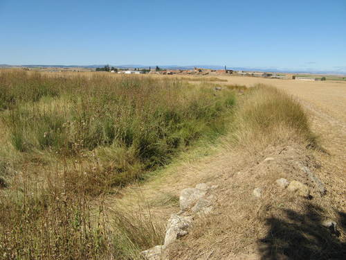 Sv 2008 Comiendo Junto A Tejado