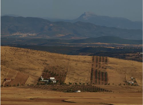 Ayuntamiento de Terrinches imagen de fachada