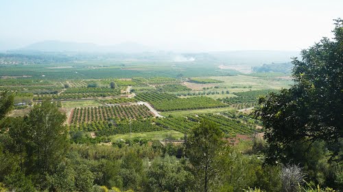 Ayuntamiento de Torres Torres imagen de fachada
