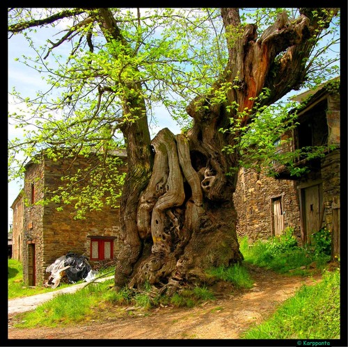 Ayuntamiento de Triacastela imagen de fachada