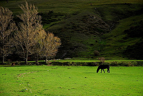 Ayuntamiento de Triollo imagen de fachada