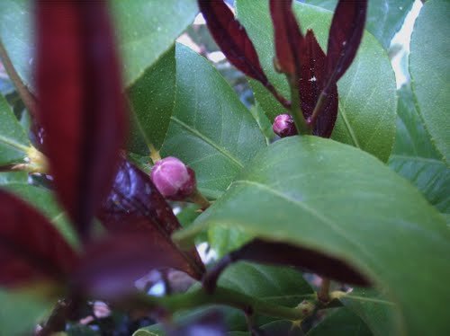 Ayuntamiento de Umbrete imagen de fachada