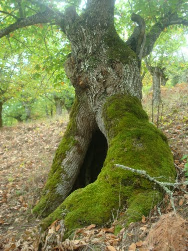 Ayuntamiento de Valdelarco imagen de fachada