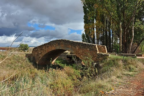 * Puente Romano De Fuentepinilla *