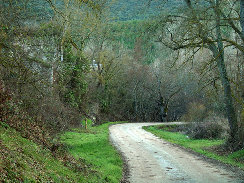 Hacia El Puente Sobre El RÃo Ebro, En Manzanedo