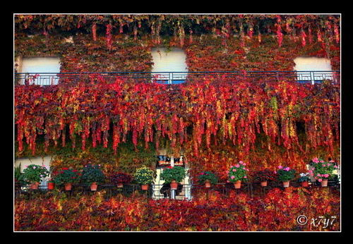 Ayuntamiento de Valor imagen de fachada
