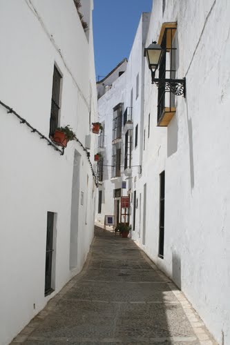 Calles Vejeriegas
