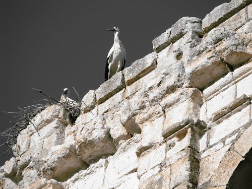 Ayuntamiento de Villabragima imagen de fachada