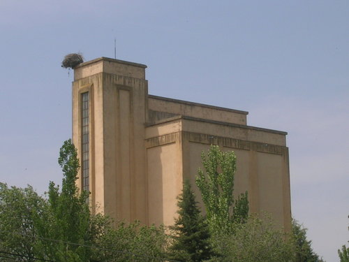 Nido De Cigueñas En El Silo