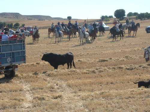 Encierros En Boveda De Toro