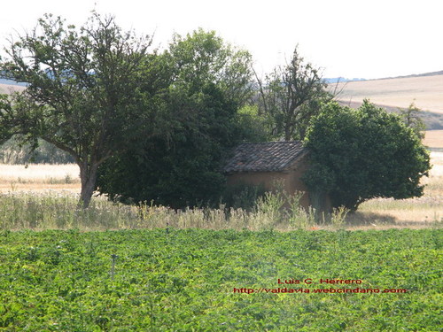 Villaeles, Caseta De Aperos En Verano