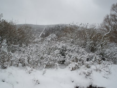 La Nieve Cubre La Sierra