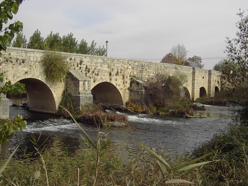 Puente Sobre El Rio Carrión - Villamuriel De Cerrato (Palencia)